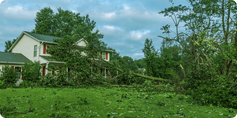 storm damaged house with destroyed trees Tunnel Hill GA